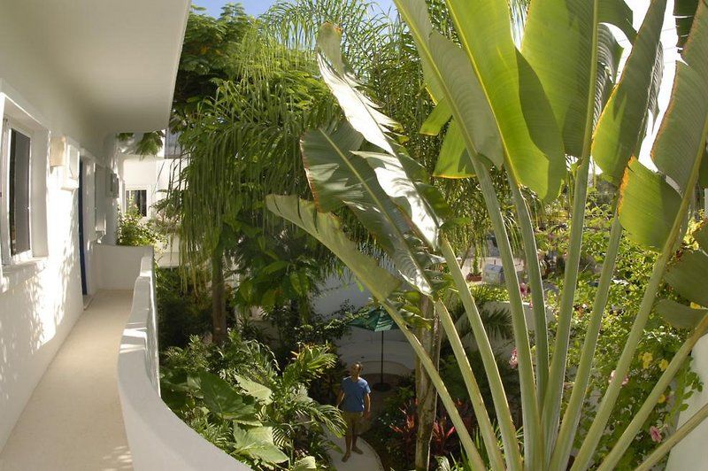 Aqualuna Boutique Hotel By Sunrise (Adults Only) بلايا ديل كارمن المظهر الخارجي الصورة